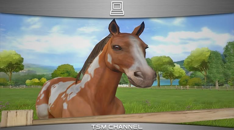 Preview of video 3 (Gameplay Video)