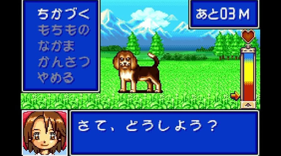 Video #1: Gameplay Video