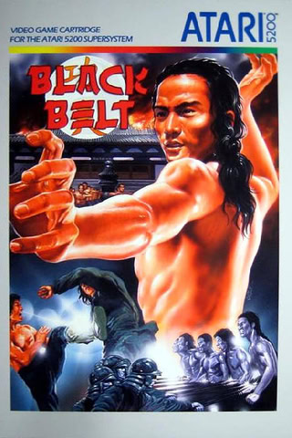 Cover art of Black Belt