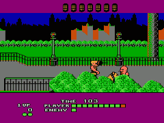 Bad Street Brawler