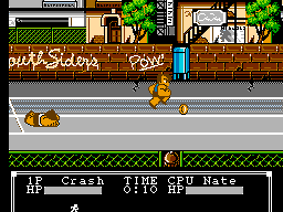 Crash 'n' the Boys: Street Challenge