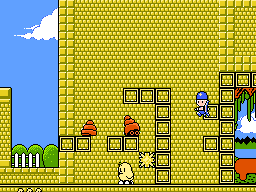 Kiwi Kraze: A Bird-Brained Adventure!
