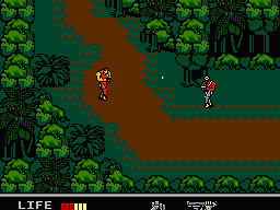 Snake's Revenge