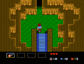 StarTropics